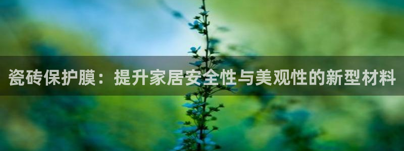 和记app官网：瓷砖保护膜：提升家居安全性与美观性的新型材料