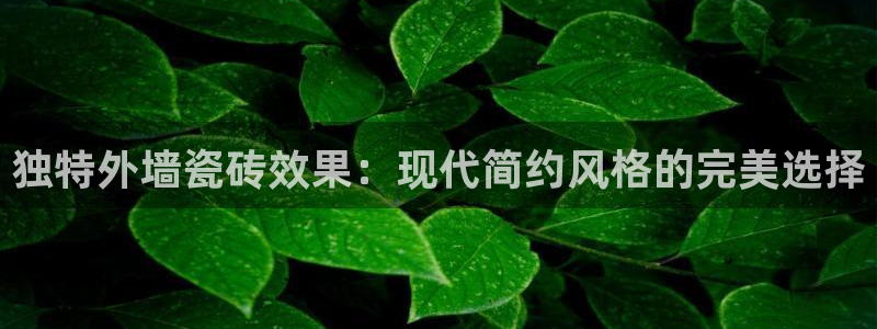 和记官网官网入口