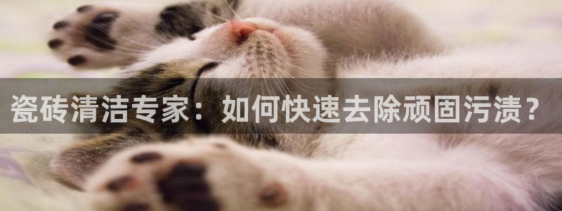 和记混凝土官网