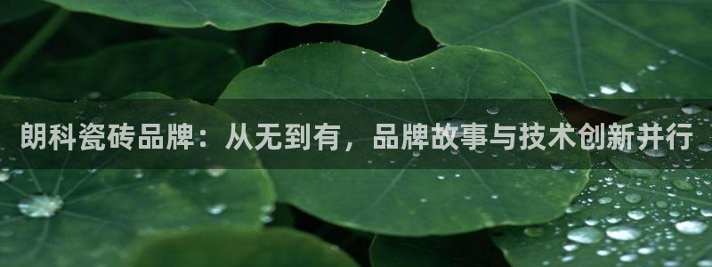 和记怡情赌博官网
