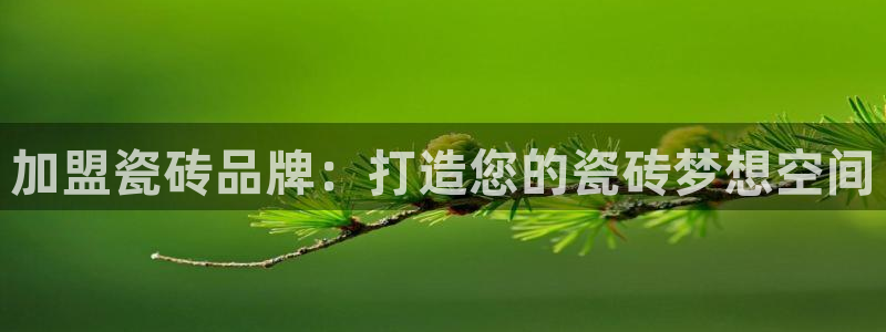 和记彩官网