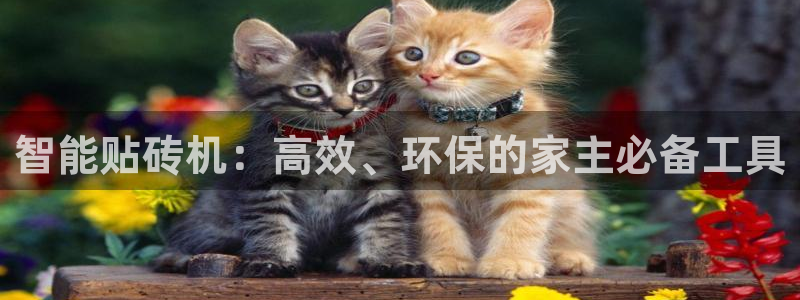缅甸和记官网