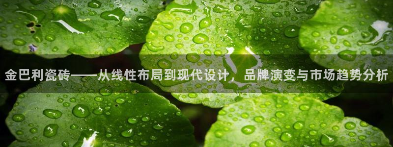 和记怡情视频官网