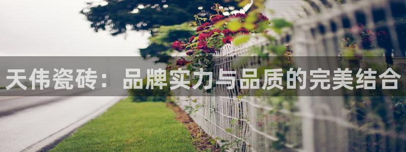 和记3香港 官网