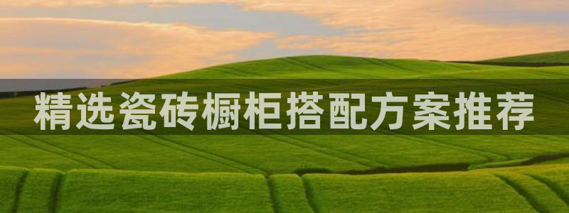 和记电讯3官网