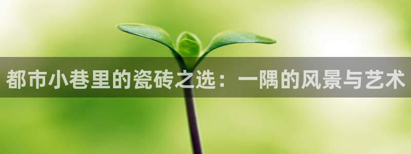 和记官网平台入口