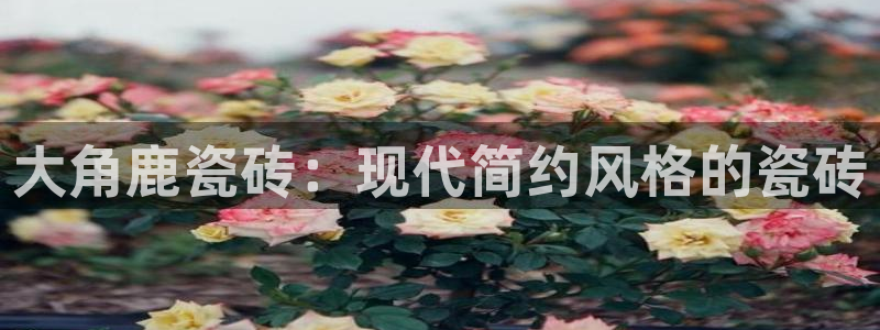 和记中国官网