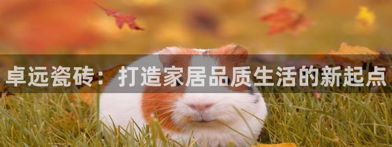 成都和记公司官网