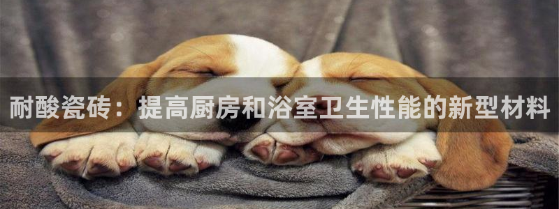 澳门和记电讯官网