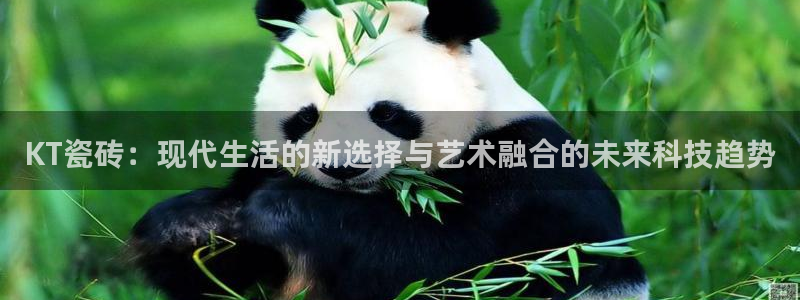 和记官网客户端