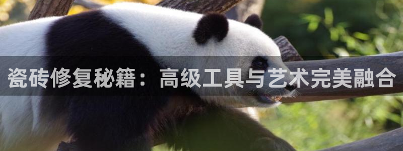 和记黄埔官网攻略