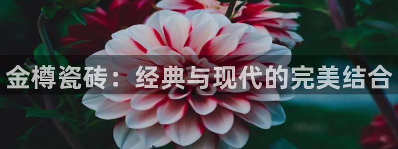 和记官网官网入口