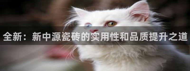 和记怡情博物官网
