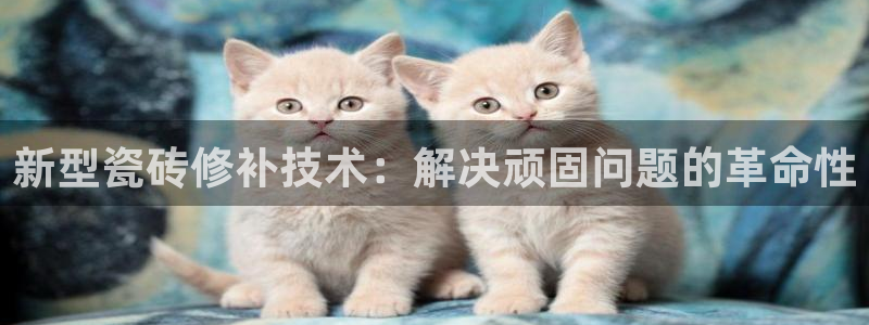 和记h188官网