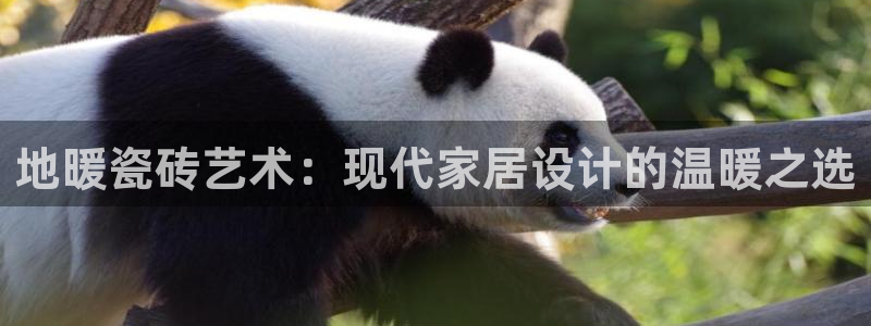和记官网亚洲唯一官网