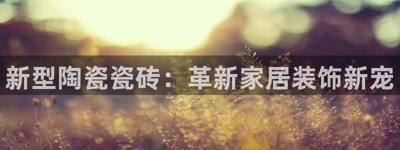 和记官网客服app