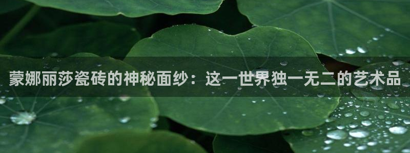 和木记手帕官网