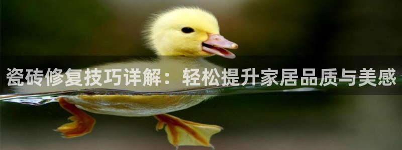 和记 中国官网