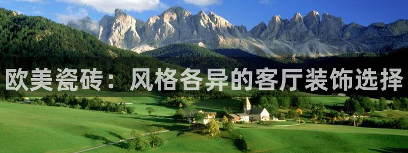和记体育买球官网