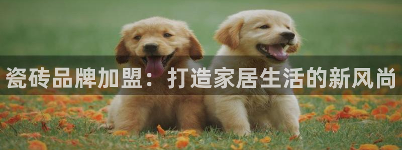 和记官网客户端