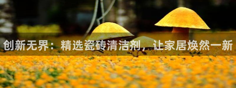 和记茶餐厅官网