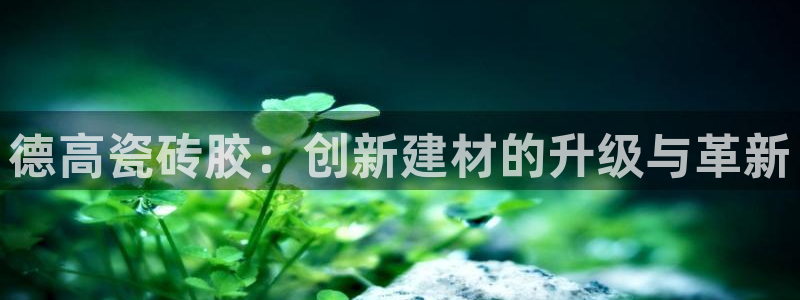 和记官网app是谁的