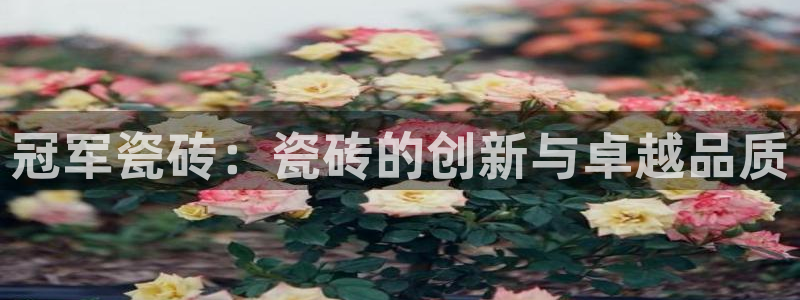 白云 和记黄埔官网