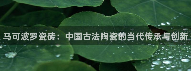 香港长江和记官网