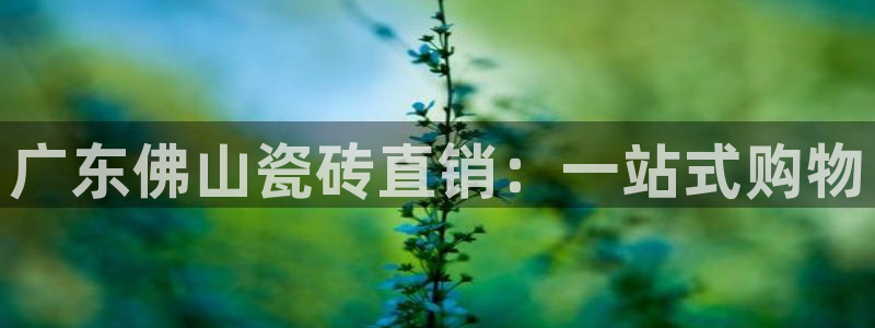 和记hgc官网