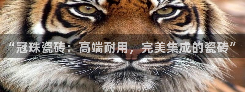 和记官网充值