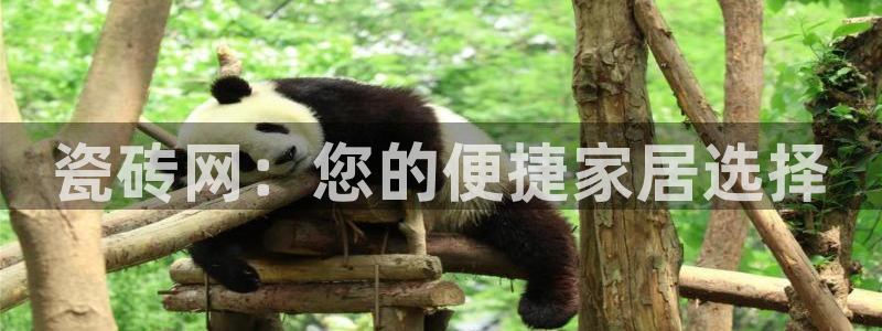 缅甸和记官网