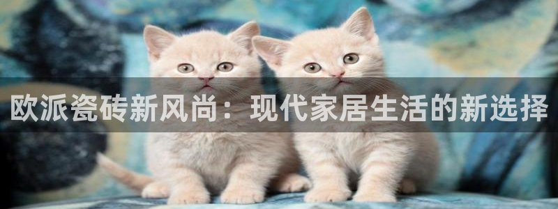 和记国际官网电话