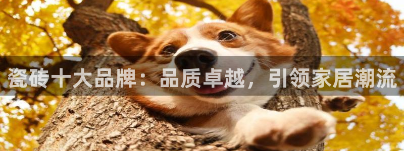 和记旗舰官网