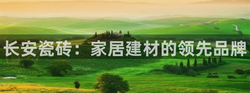 和记3电讯 官网