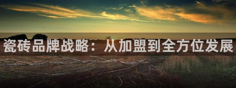和记官网是一个什么平台