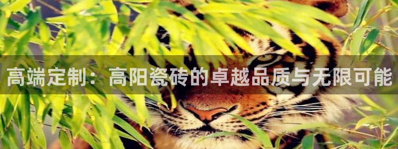 香港和记3台官网