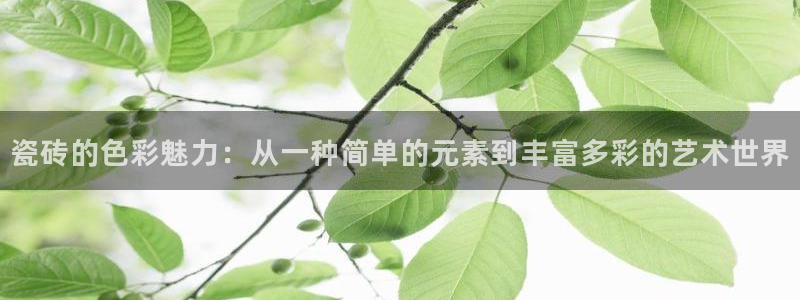 上海和记黄埔官网