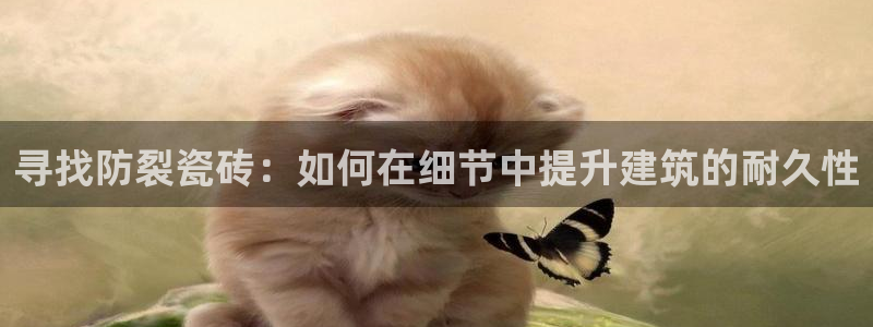 澳门和记平台官网
