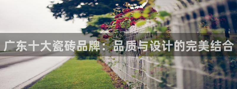 和记官网h88