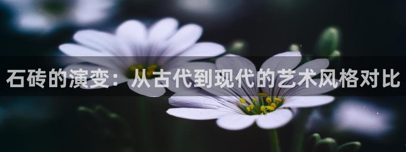 和记电讯3官网