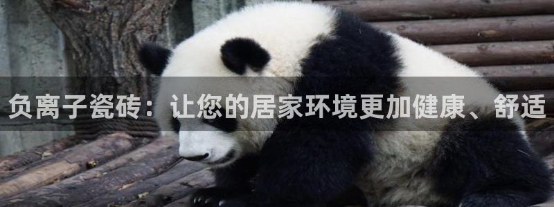 和记港口官网
