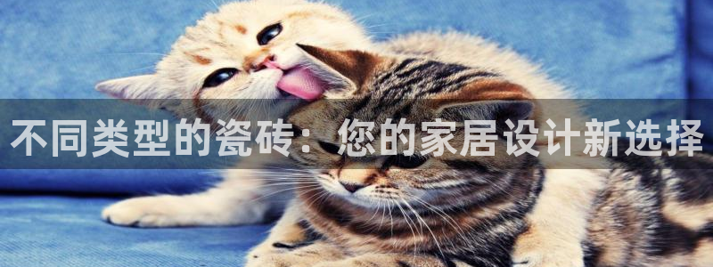和记188官网