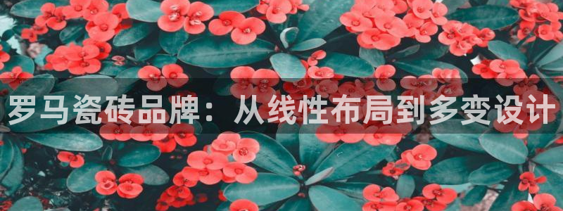 和木记官网