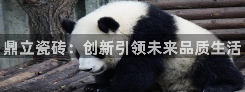 和记官网加盟