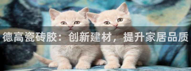 和记澳门官网