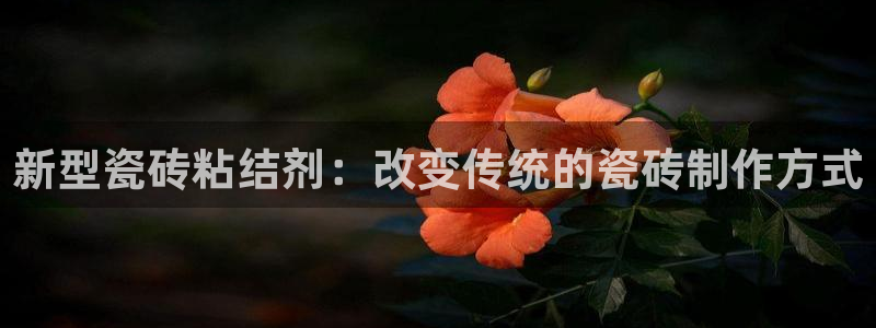 和记娱乐怡情博娱官网
