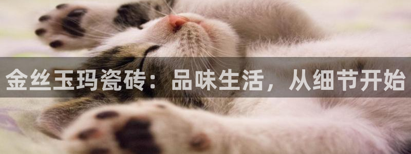 缅甸和记平台官网