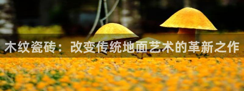 香港和记3台官网