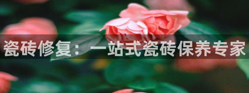 和记娱乐 官网