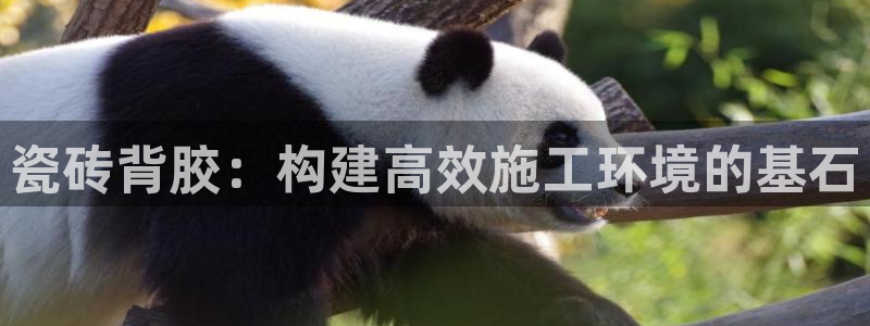 和记娱哪个位置h88285官网